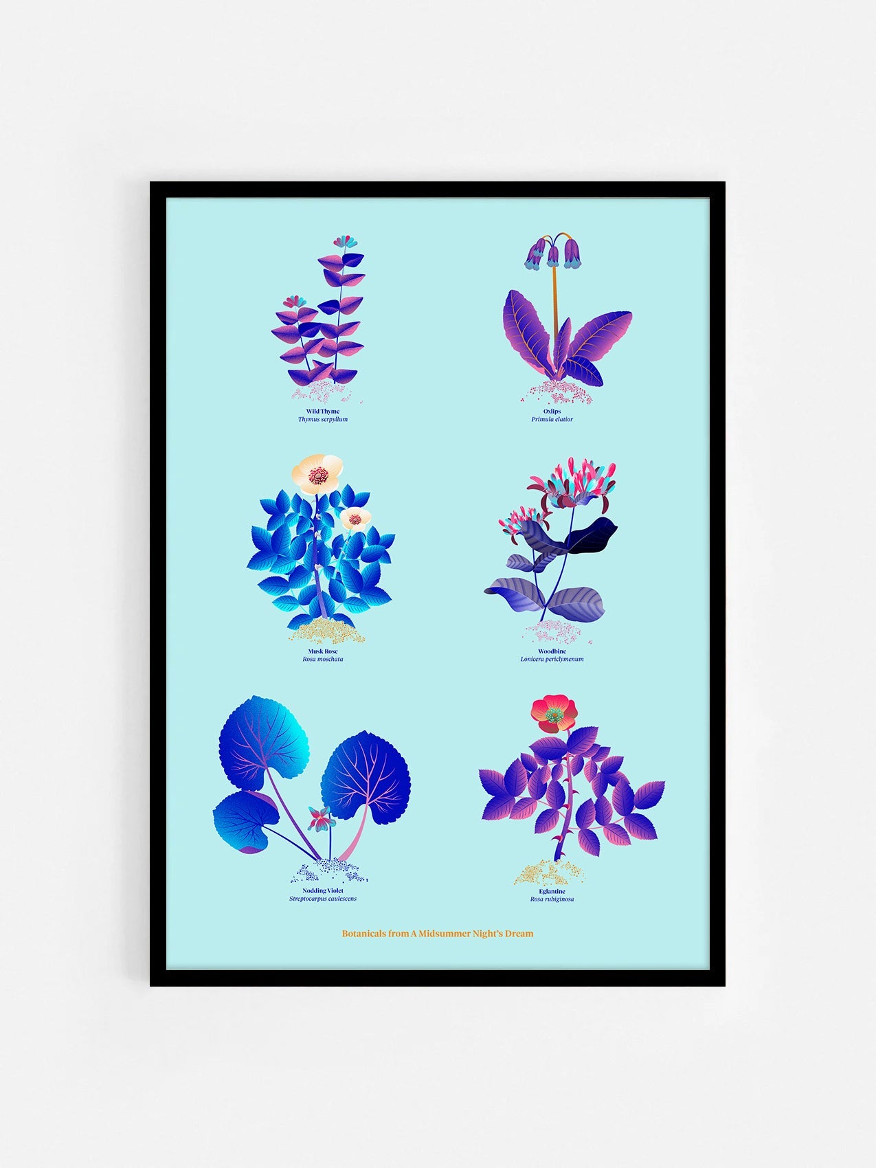 Floral art print 'The Forest's Flora' with electric blue, day-glow, and buttercup hues, inspired by Shakespeare's forest - Black Frame.