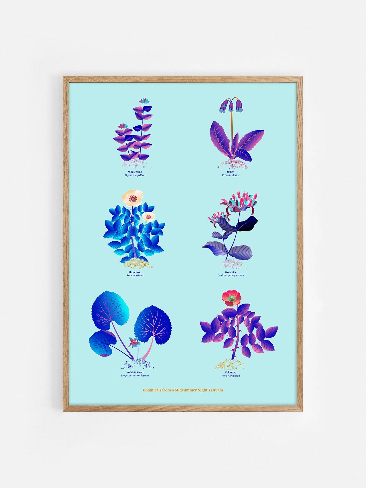 Floral art print 'The Forest's Flora' with electric blue, day-glow, and buttercup hues, inspired by Shakespeare's forest - Oak Frame.