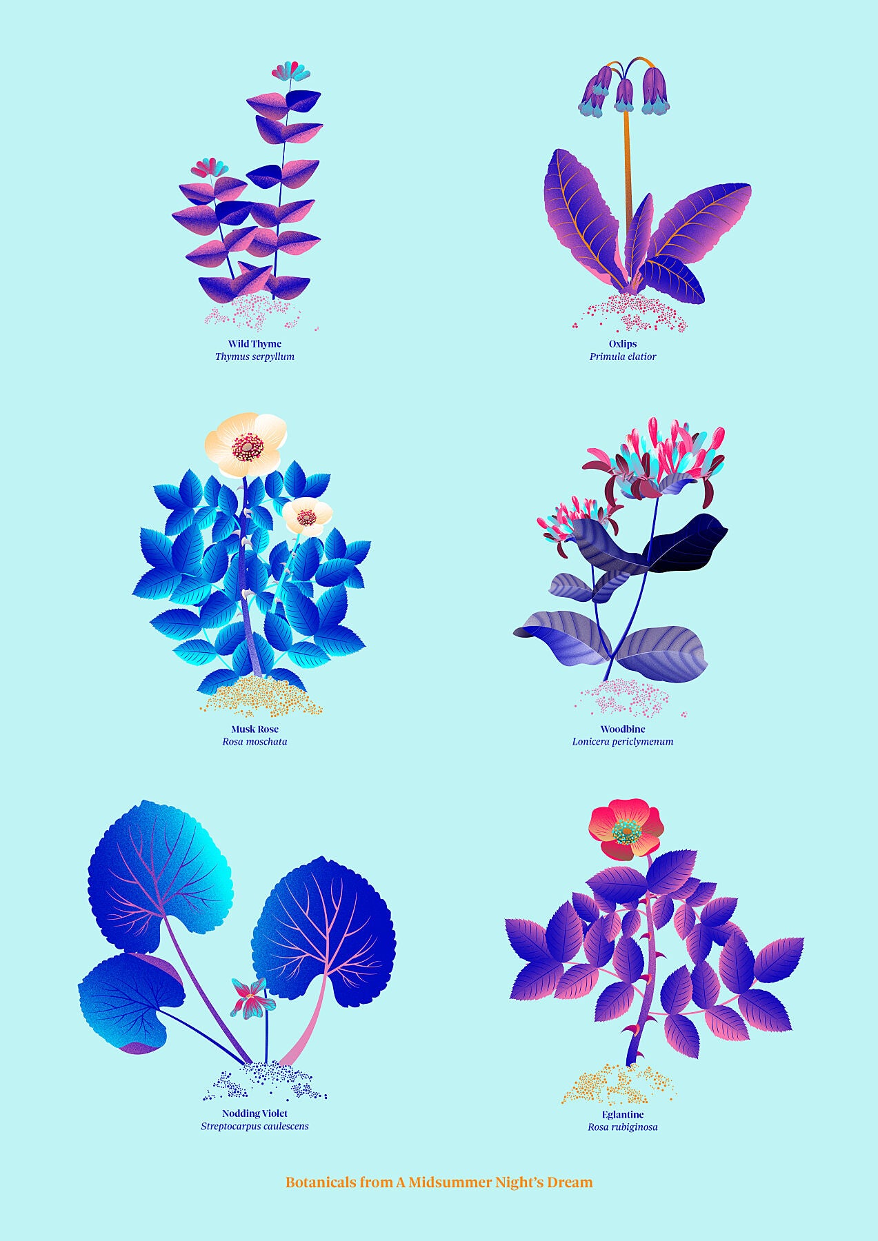 Floral art print 'The Forest's Flora' with electric blue, day-glow, and buttercup hues, inspired by Shakespeare's forest - Print Only