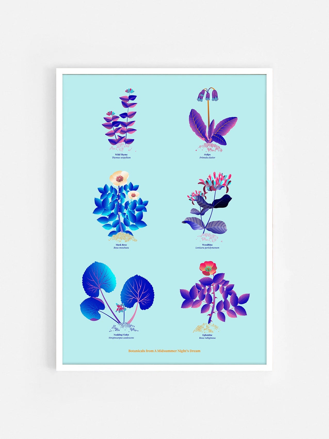 Floral art print 'The Forest's Flora' with electric blue, day-glow, and buttercup hues, inspired by Shakespeare's forest - White Frame