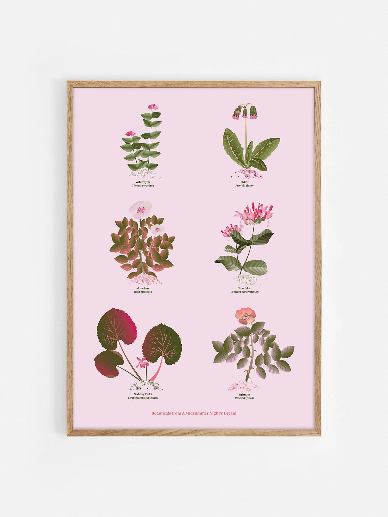 Floral art print 'The Forest's Flora' with olive, pink, and pomegranate hues, inspired by Shakespeare's forest - Oak Frame.