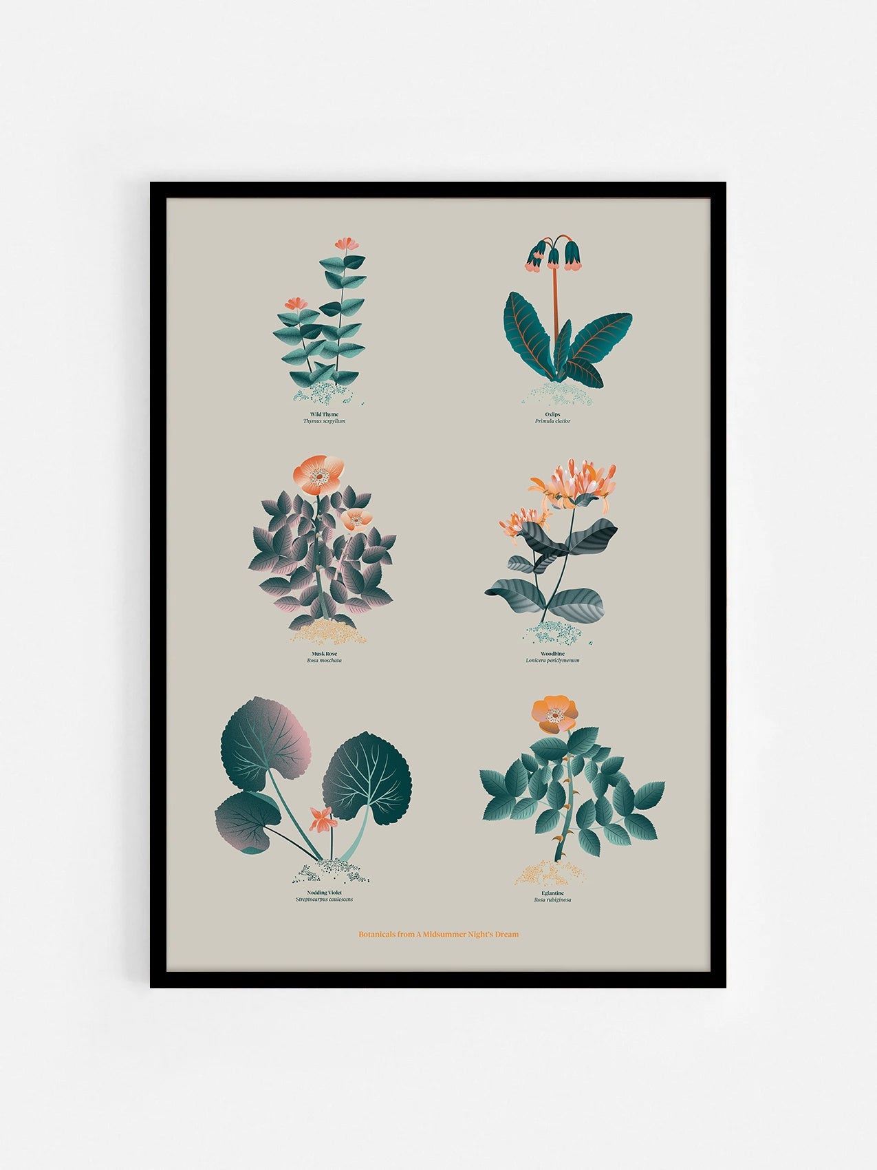 Floral art print 'The Forest's Flora' with teal, mandarin, and orange hues, inspired by Shakespeare's forest - Black Frame.
