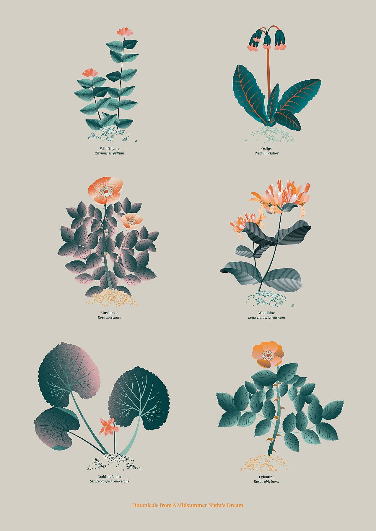 Floral art print 'The Forest's Flora' with teal, mandarin, and orange hues, inspired by Shakespeare's forest - Print Only