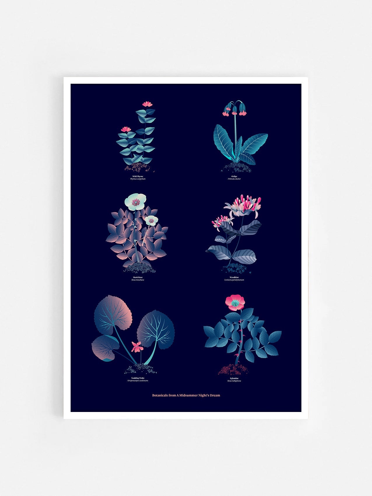 Floral art print 'The Forest's Flora' with ruby red, turquoise, and blue hues, inspired by Shakespeare's forest - White Frame.