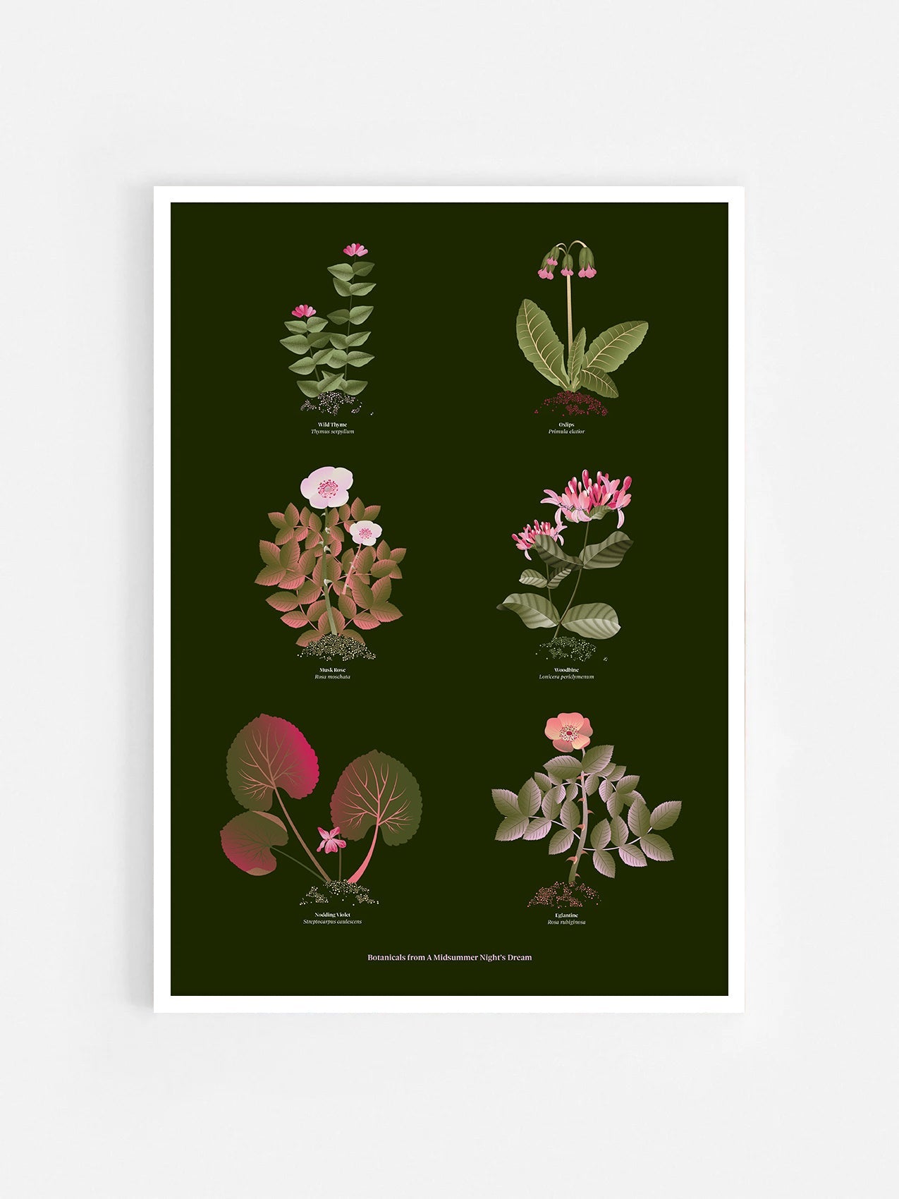 Floral art print 'The Forest's Flora' with olive, pink, and pomegranate hues, inspired by Shakespeare's forest - White Frame.