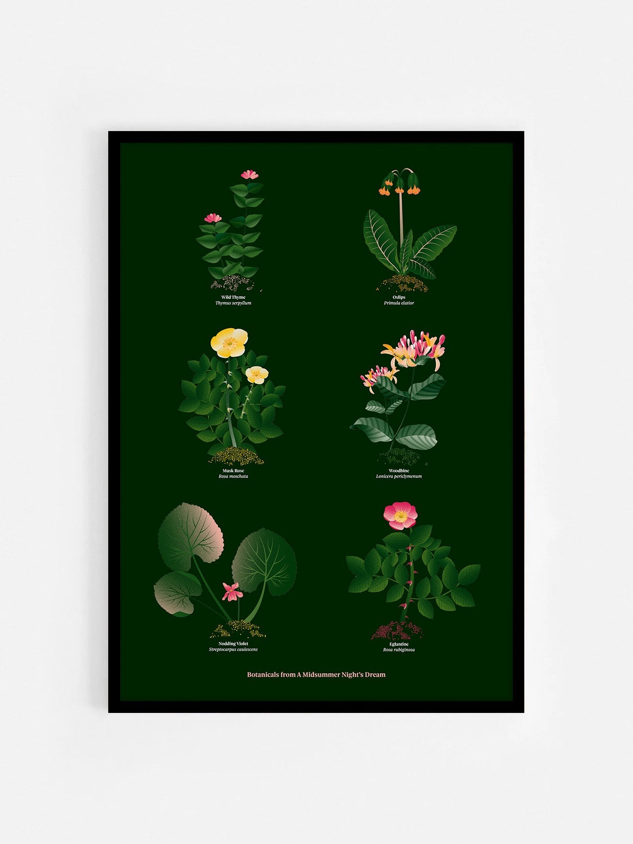 Floral art print 'The Forest's Flora' with forest green, saffron, and magenta hues, inspired by Shakespeare's forest - Black Frame.